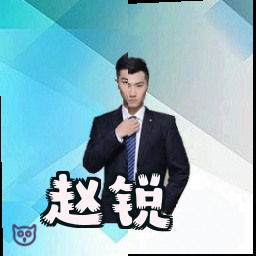 赵锐